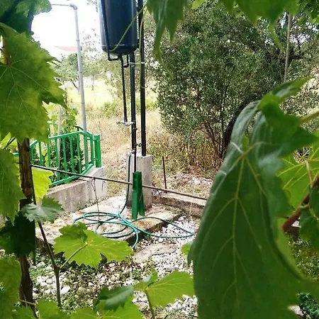 Delibasic Apartament