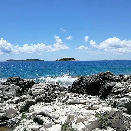 Apartament Delibasic