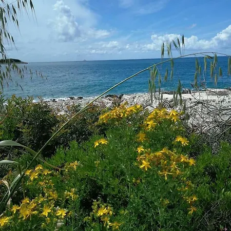 Delibasic Lejlighed Rogoznica (Sibenik-Knin)