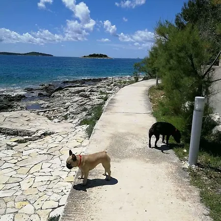 Delibasic Lejlighed *