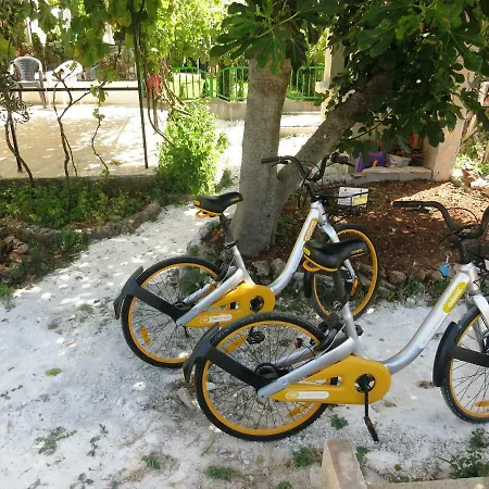 Delibasic Lejlighed *