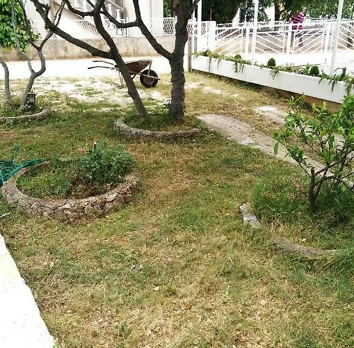 Delibasic Rogoznica (Sibenik-Knin)