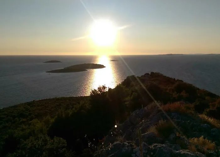 Apartman Delibasic *