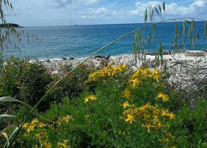 Delibasic Apartman Rogoznica (Sibenik-Knin)