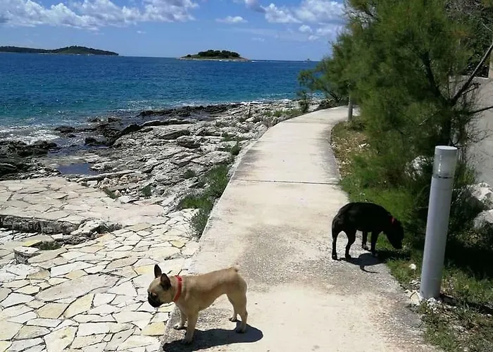 Delibasic Apartman *